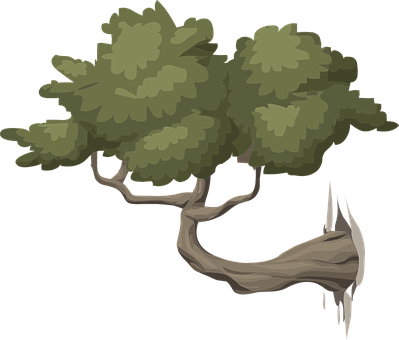 Stylized Vector Illustrationof Trees PNG