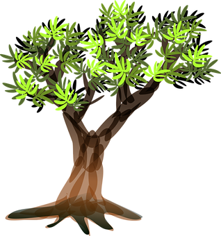 Stylized Vector Olive Tree PNG — A cartoon tree with a thick brown trunk and bright green leafy canopy stands against a black background.
