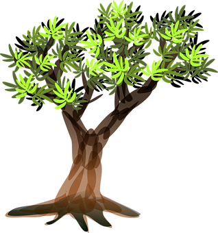 Stylized Vector Olive Tree PNG