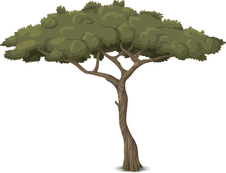 Stylized Vector Tree Illustration PNG