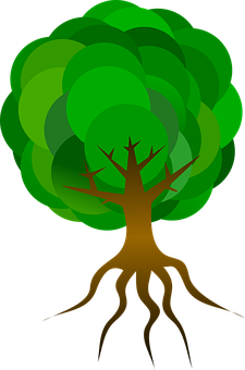 Stylized Vector Tree Illustration PNG