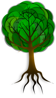 Stylized Vector Tree Illustration PNG