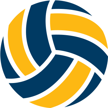 Stylized Volleyball Logo Design PNG