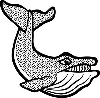 Stylized Whale Illustration PNG