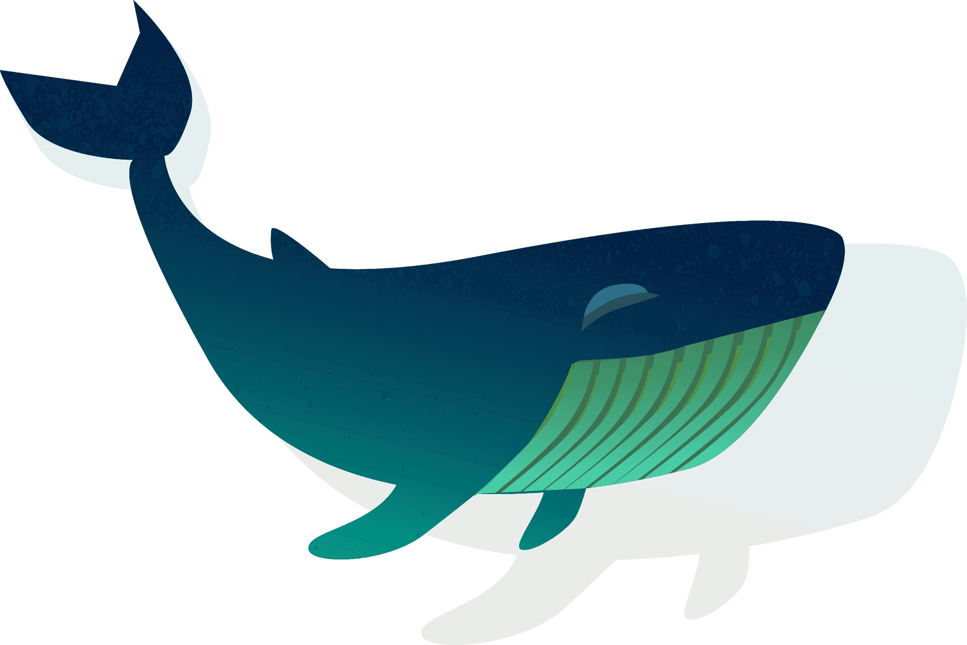 Stylized Whale Illustration PNG