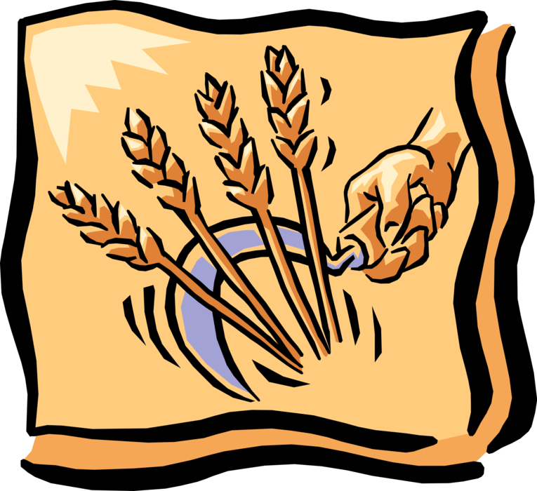 Stylized Wheat Sheaf Vector PNG