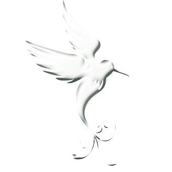 Stylized White Bird Artwork PNG