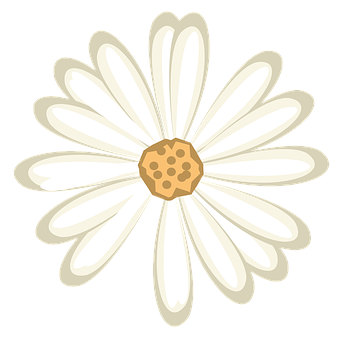 Stylized White Daisy Graphic PNG