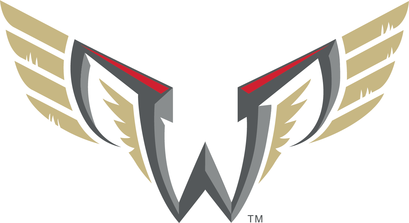 Stylized Wings Logo Design PNG