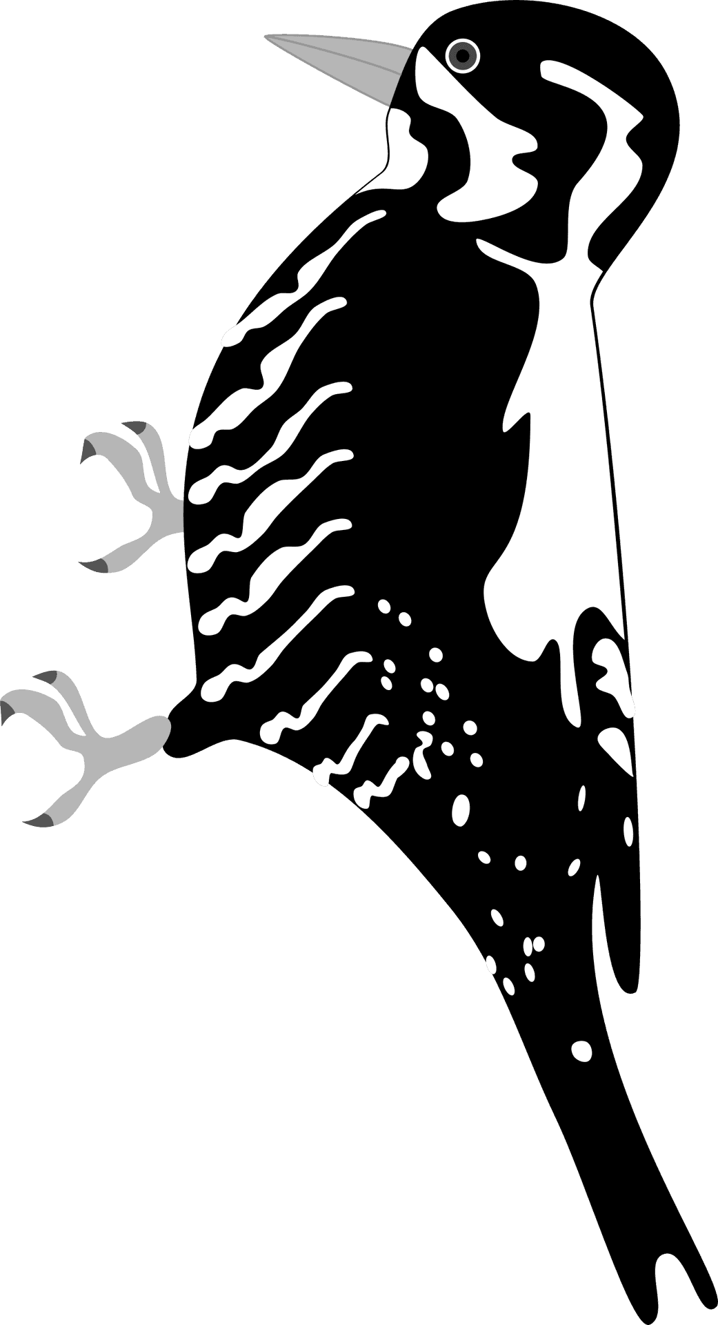 Stylized Woodpecker Illustration PNG