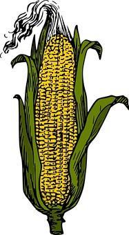 Stylized Yellow Corn Ear PNG