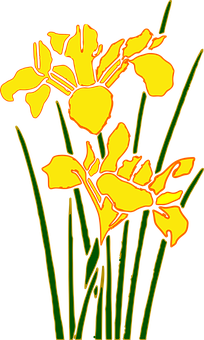 Stylized Yellow Iris Graphic PNG