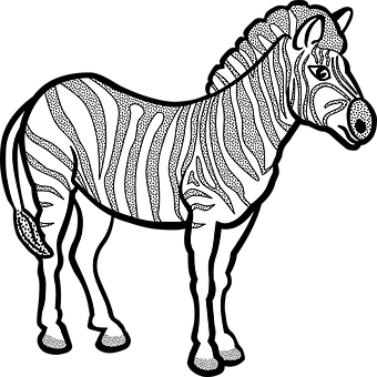 Stylized Zebra Illustration PNG