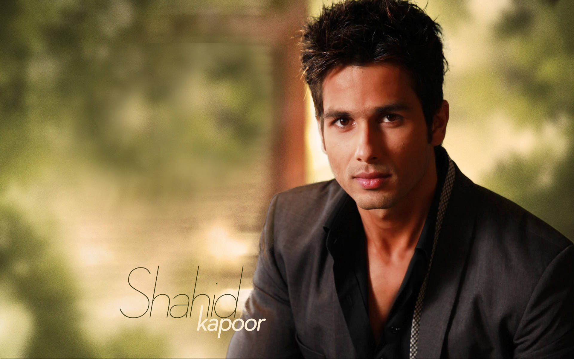 Suave Shahid Kapoor In Suit Background