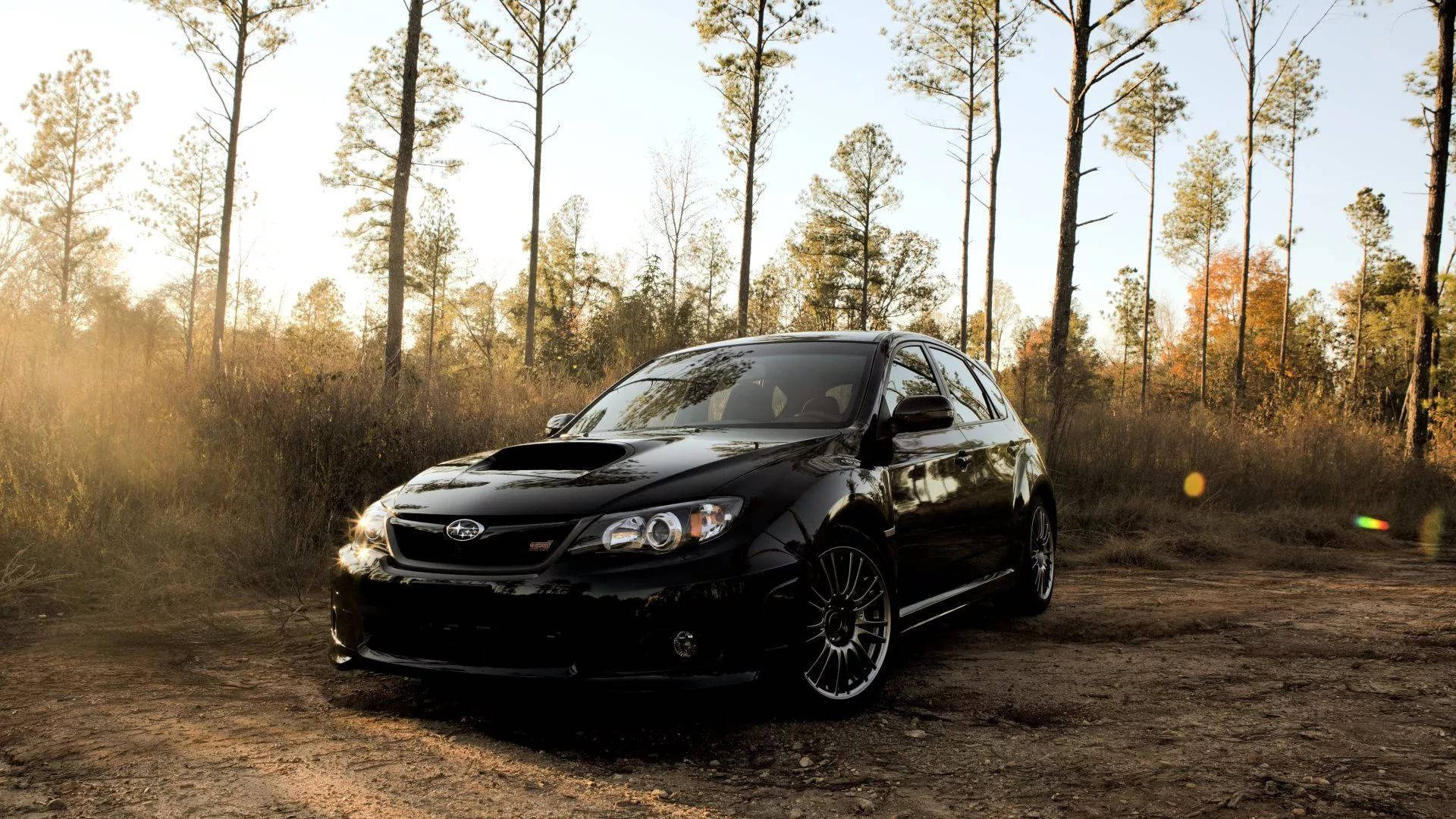 Subaru Impreza In The Woods Wallpaper