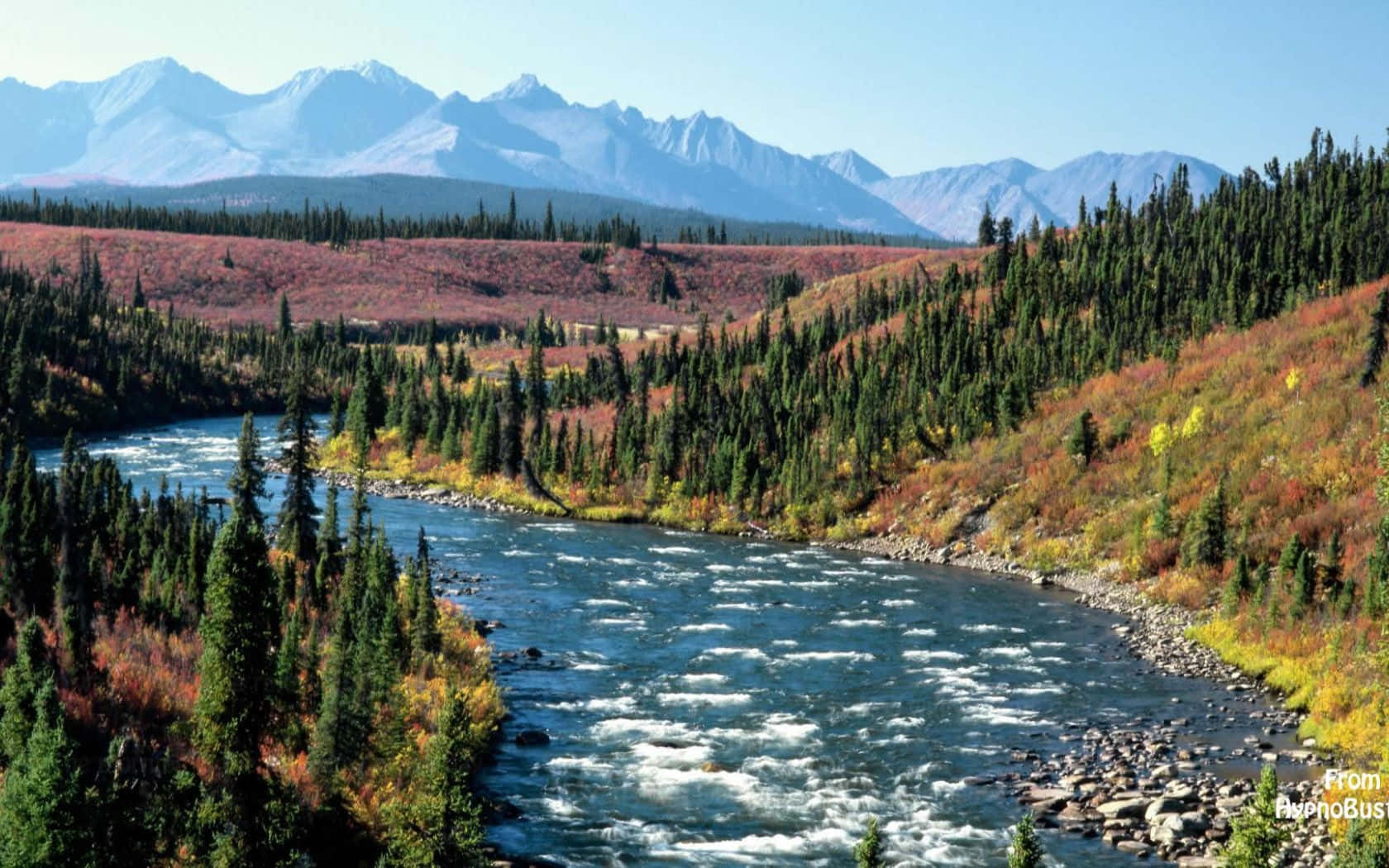 Subliminal Paradise In Yukon River Wallpaper