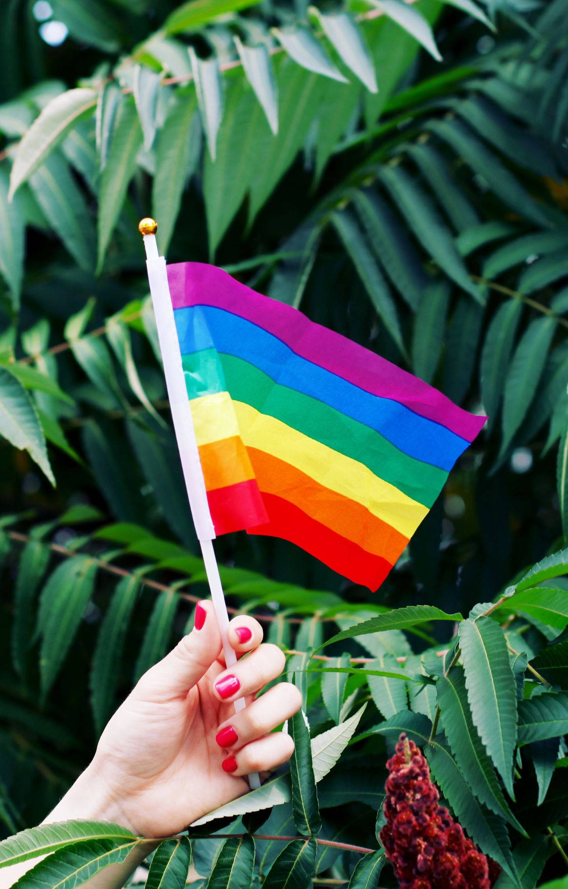 Celebrating the Pride Flag Wallpaper