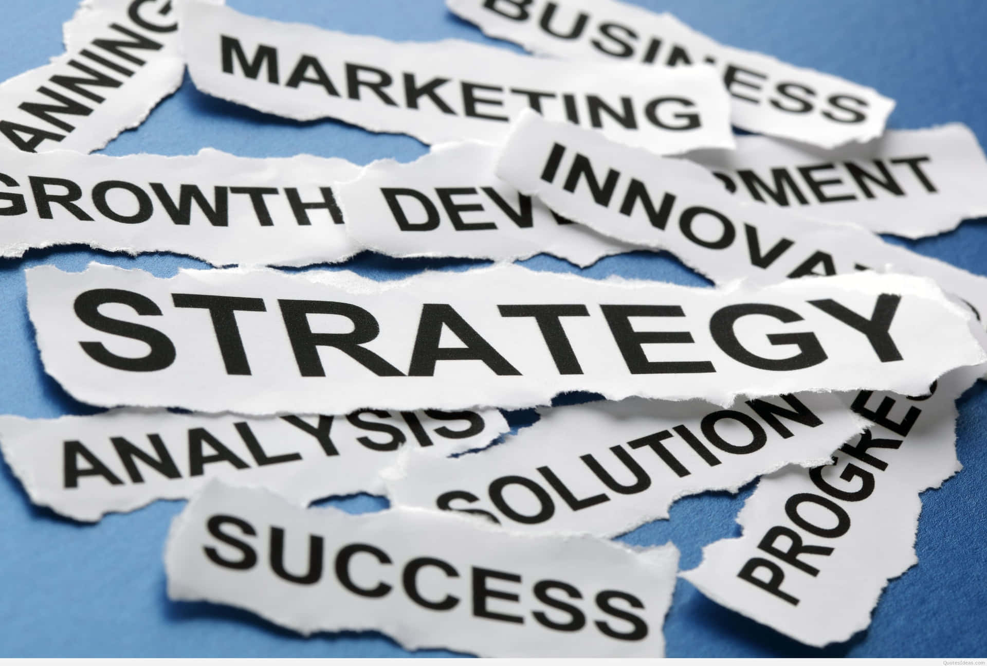 Strategy And Success In Business