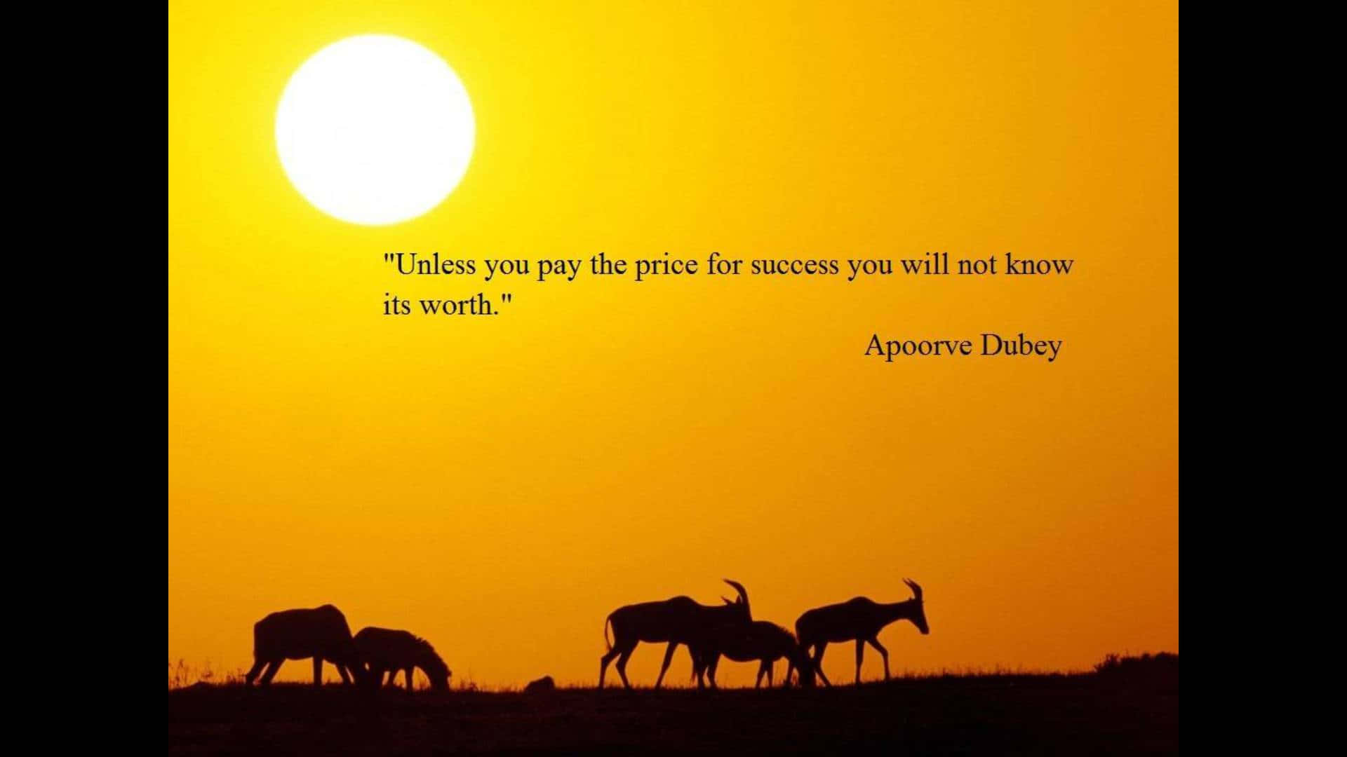 A Sunset With A Quote About Animals And A Sunset
