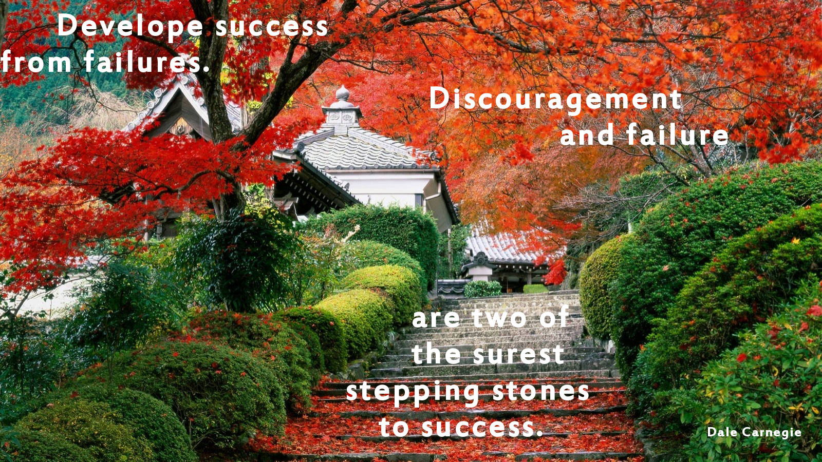 Success From Failure Quote Wallpaper