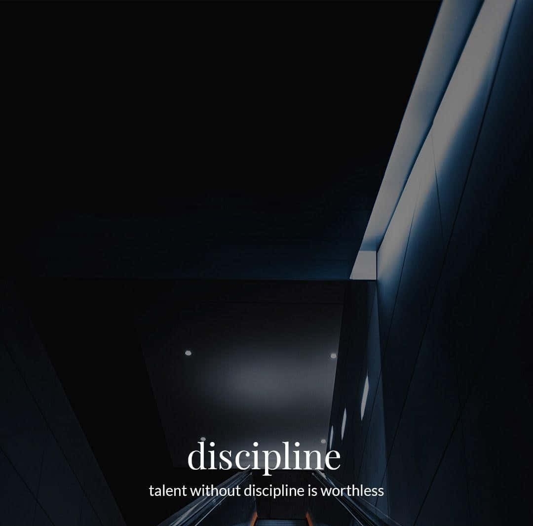 Discipline - Listen To And Follow The Discipline In New York