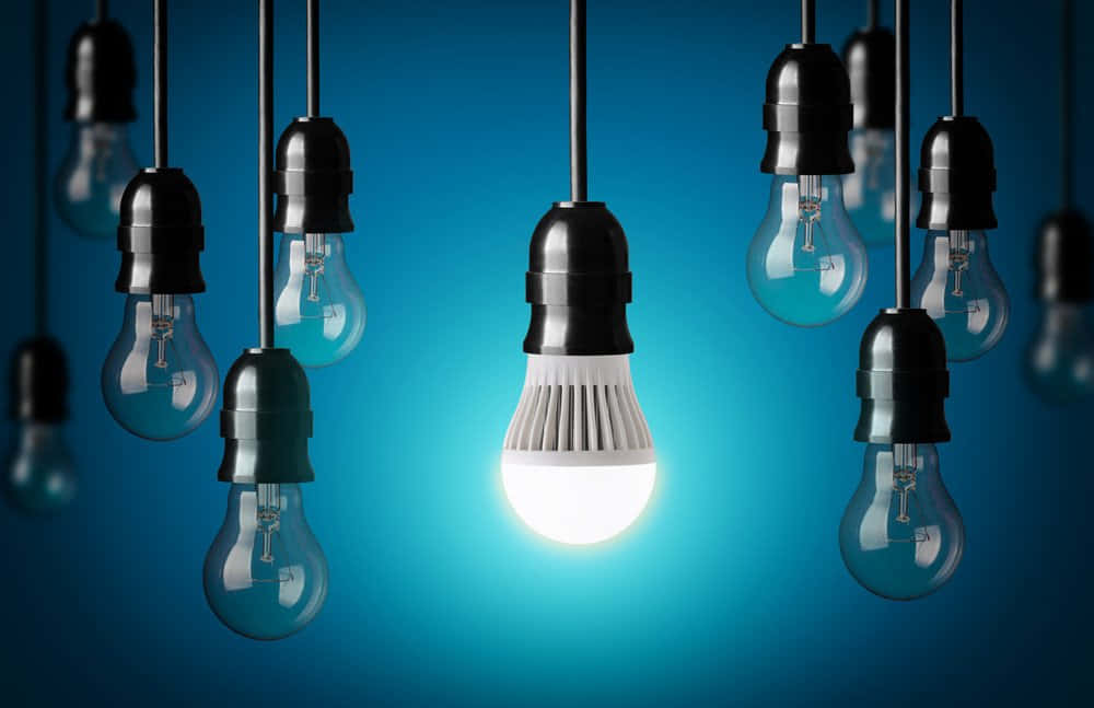 Succinct Light Bulbs Wallpaper