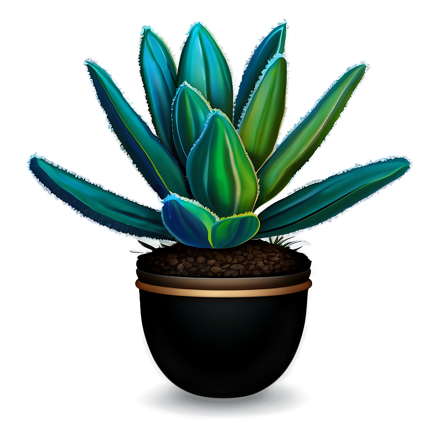 Download Succulent Plant Png 05032024 | Wallpapers.com