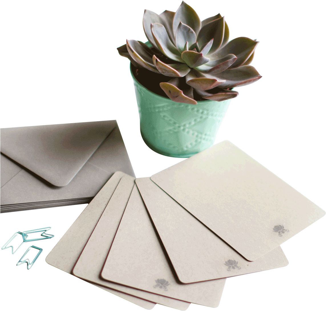 Succulentand Stationery Setup PNG