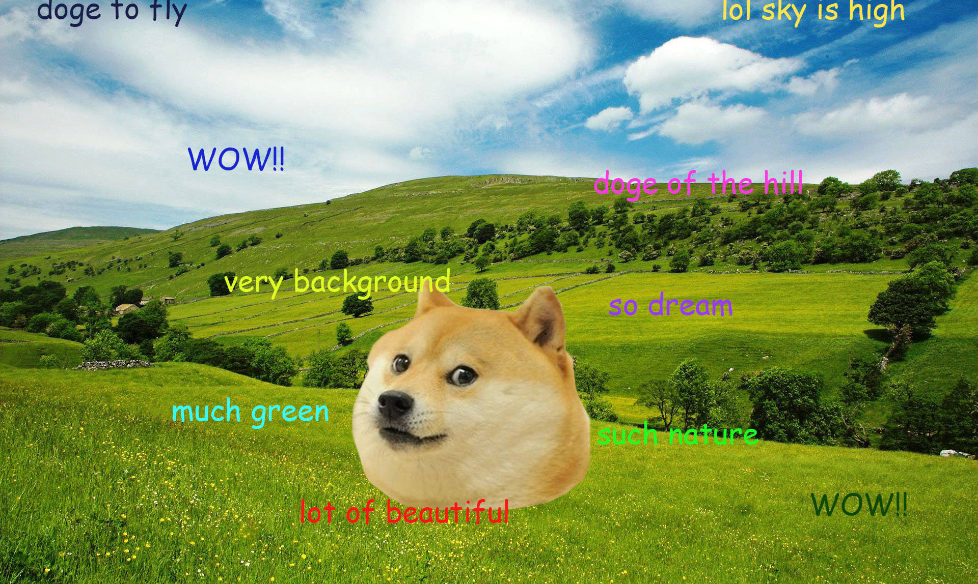 Doge Meme with serious expression and words around natural background wallpaper.