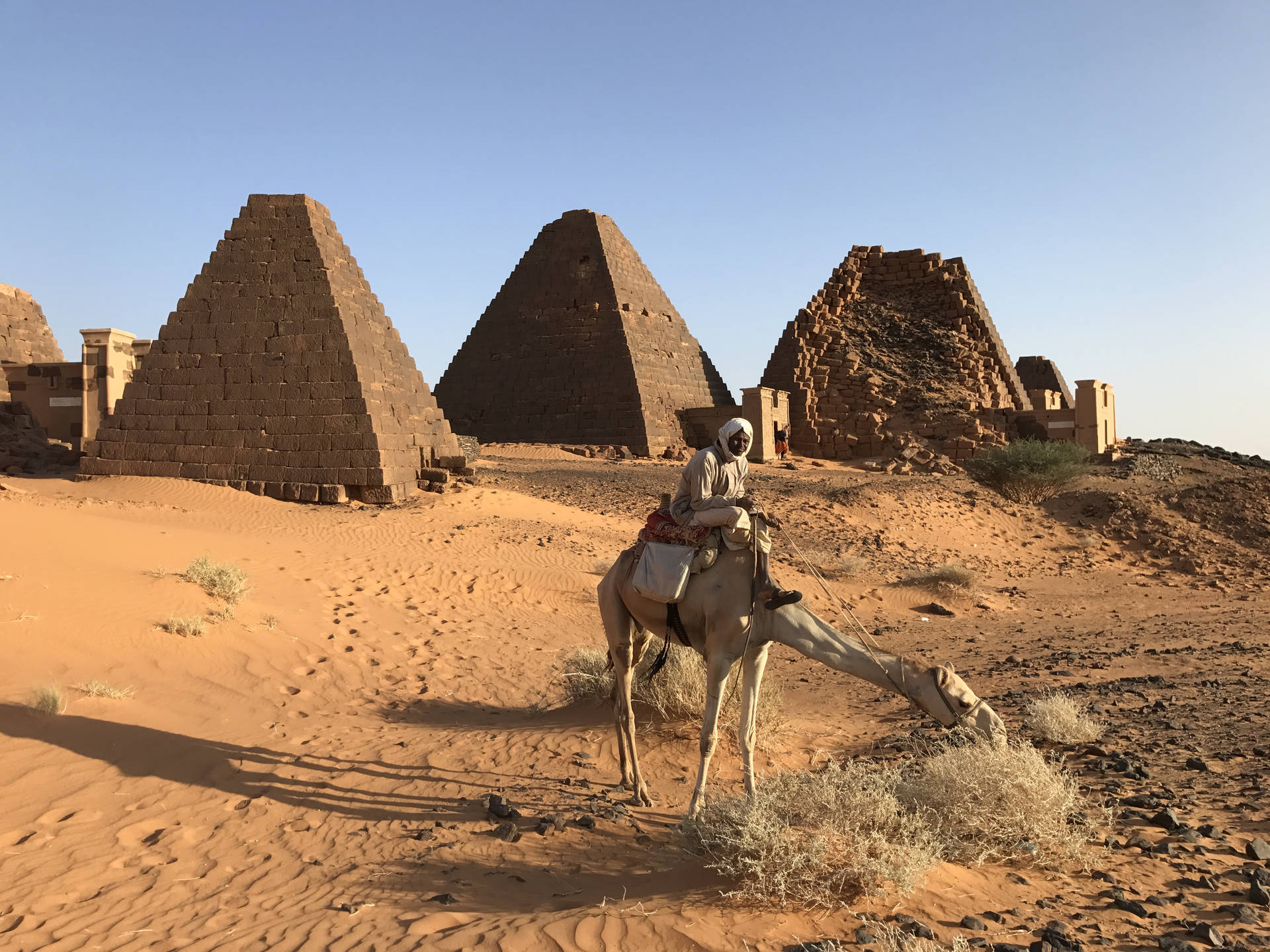 Sudanesischermann Reitet Auf Einem Kamel Wallpaper