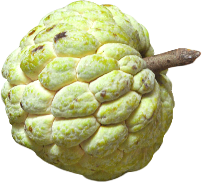 Sugar Apple Fruit Texture PNG