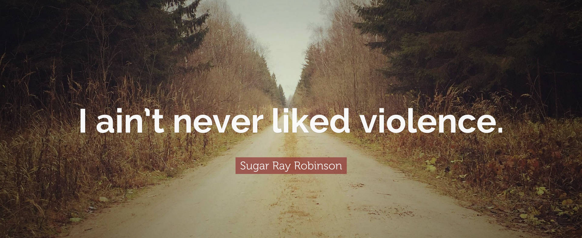 Sugar Ray Robinson Quote Wallpaper