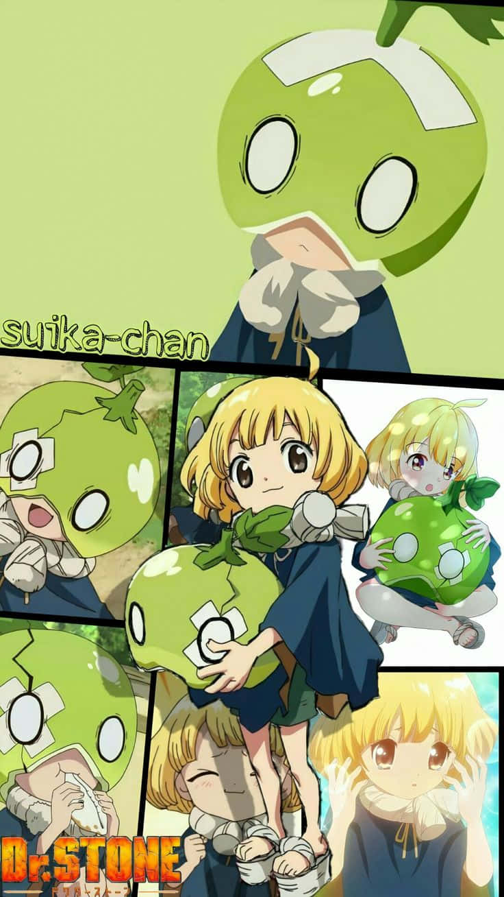 Suika Chan Collage Dr Stone Achtergrond