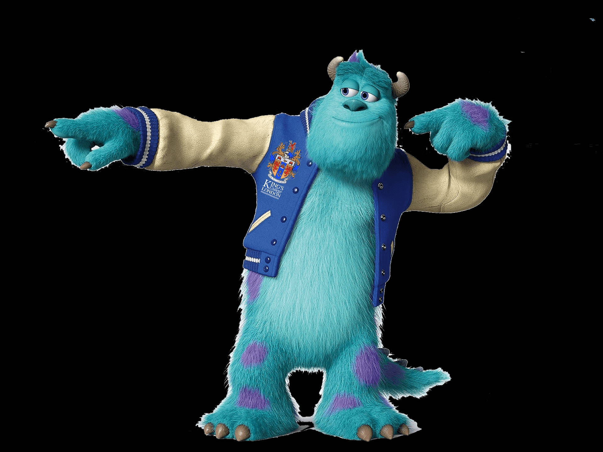 Download Sulley From Monsters University Wallpaper