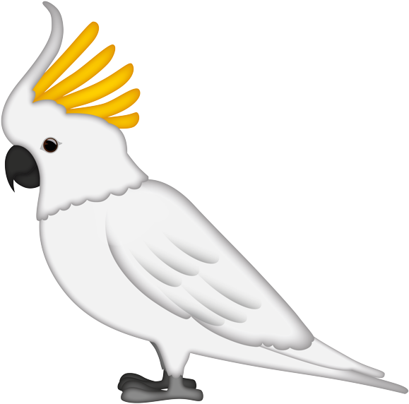 Sulphur Crested Cockatoo Illustration PNG