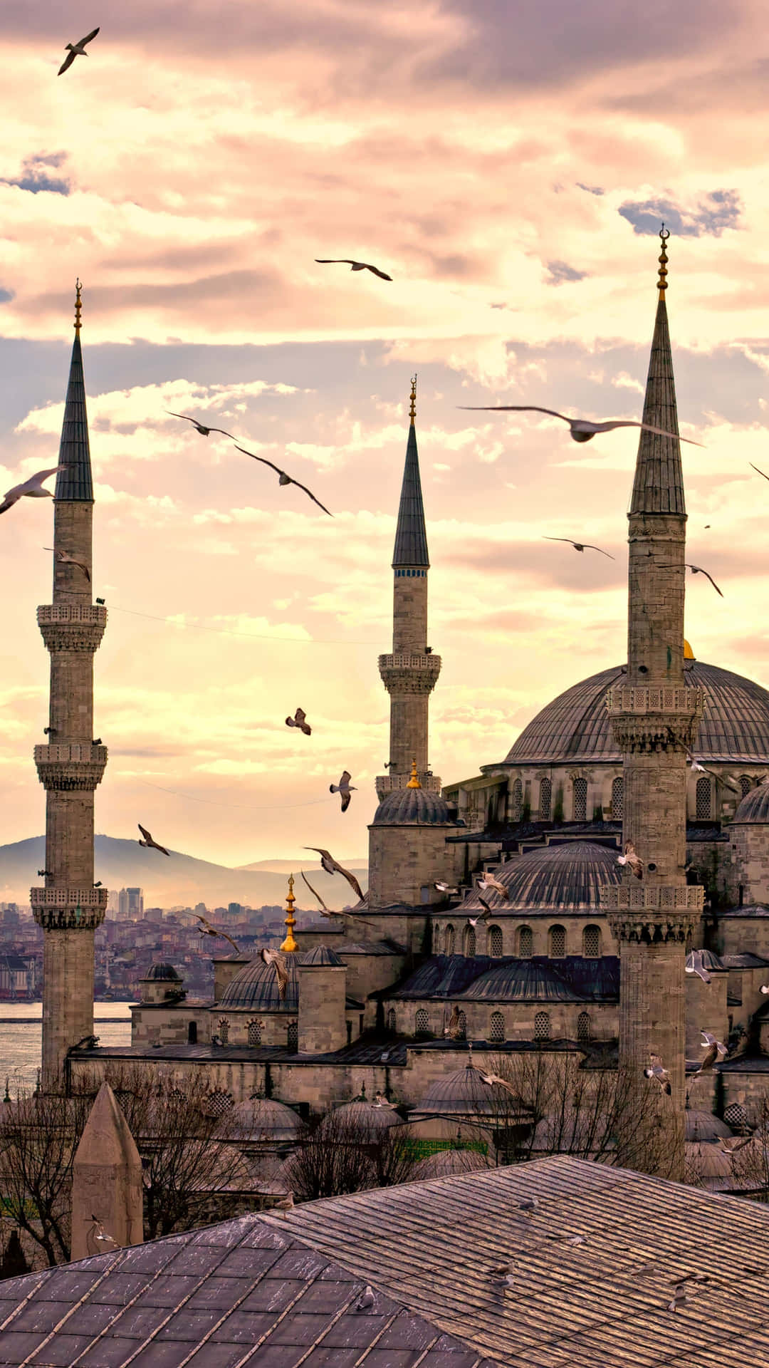 Mezquitade Sultan Ahmed Con Pájaros Volando. Fondo de pantalla