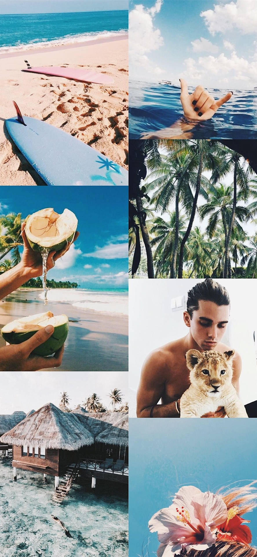 Summer Aesthetic Beach Vibes Collage Wallpaper