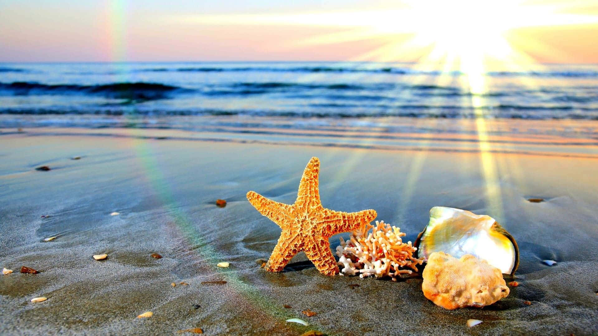 Adorable Seashells Starfish And Ocean Waves Summer Background