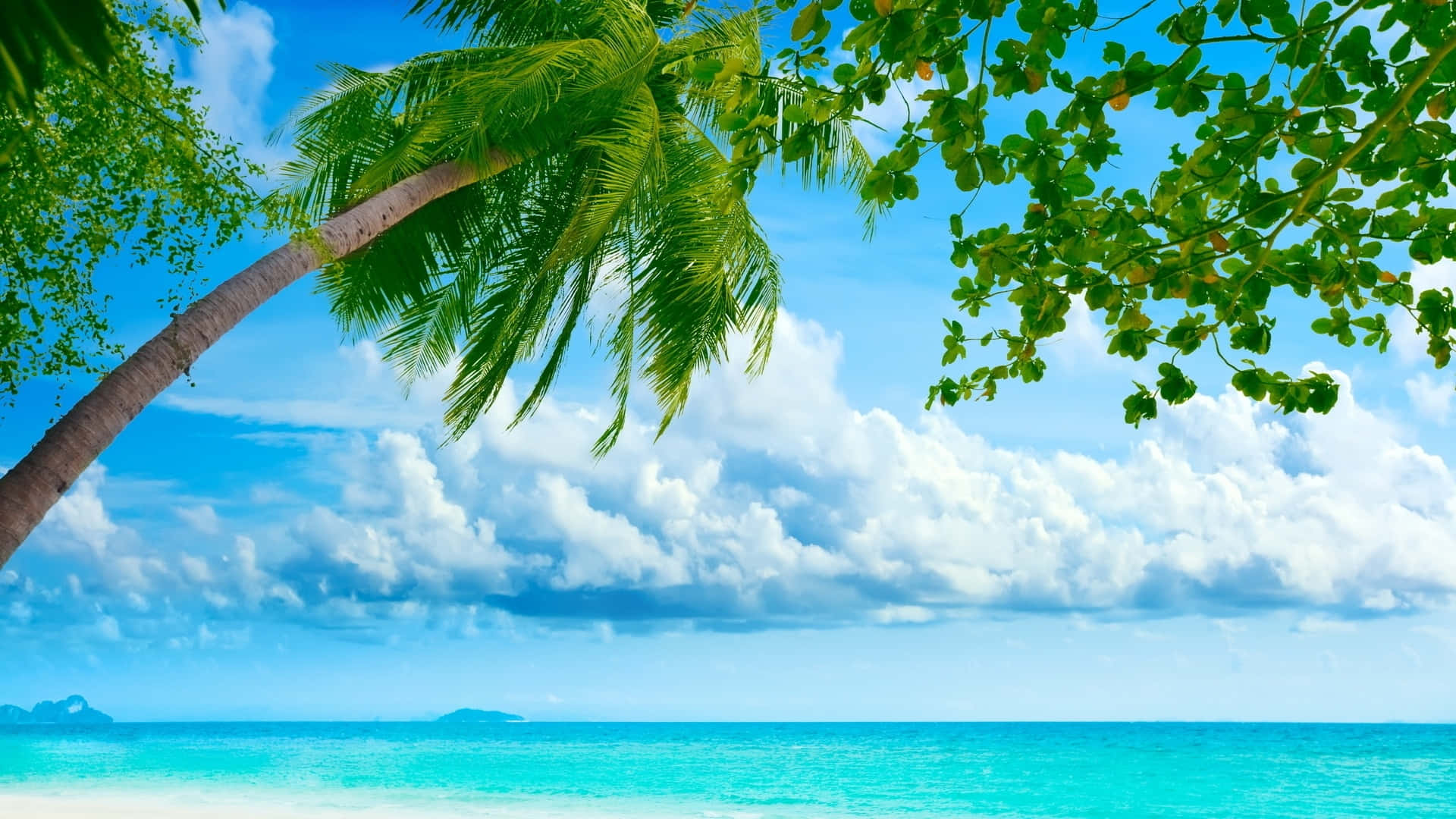 Mesmerizing Blue Sea Summer Background