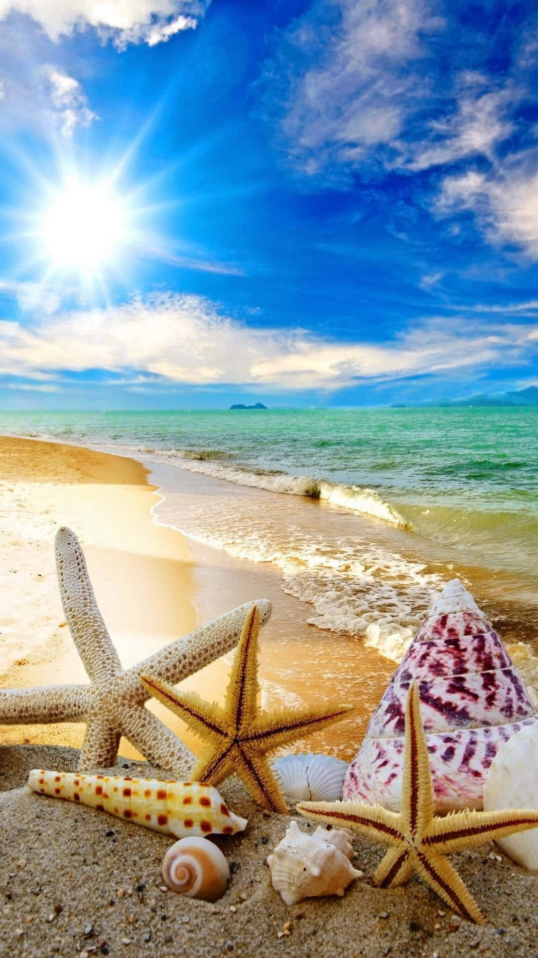 Playade Verano Para Iphone Con Estrellas De Mar Y Caracolas. Fondo de pantalla
