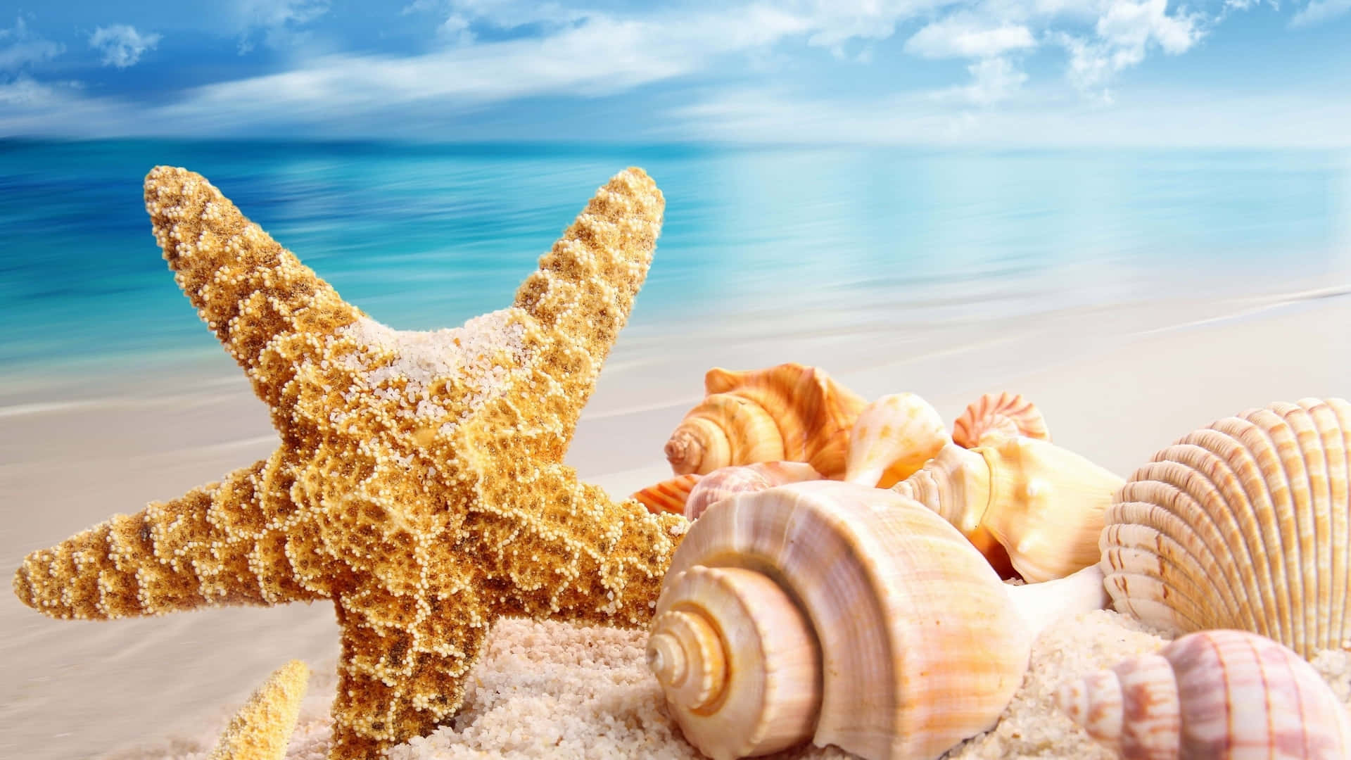Make Your Next Summer Vacation A Beach Getaway