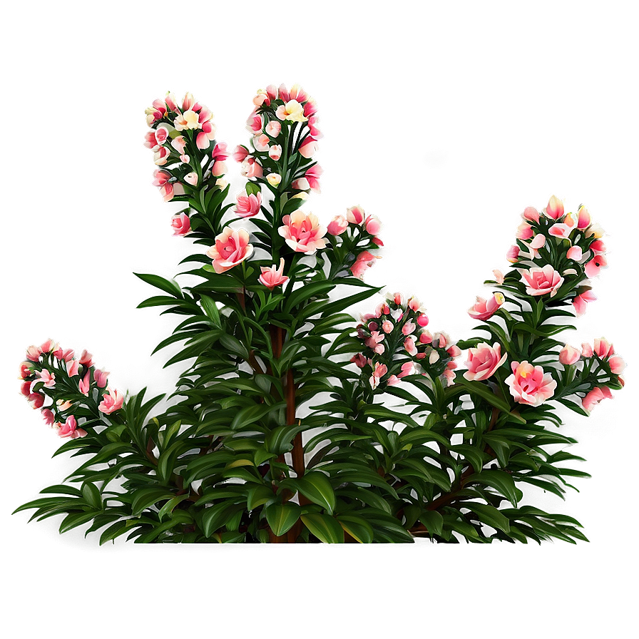 Download Summer Bloom Bush Png 29 | Wallpapers.com