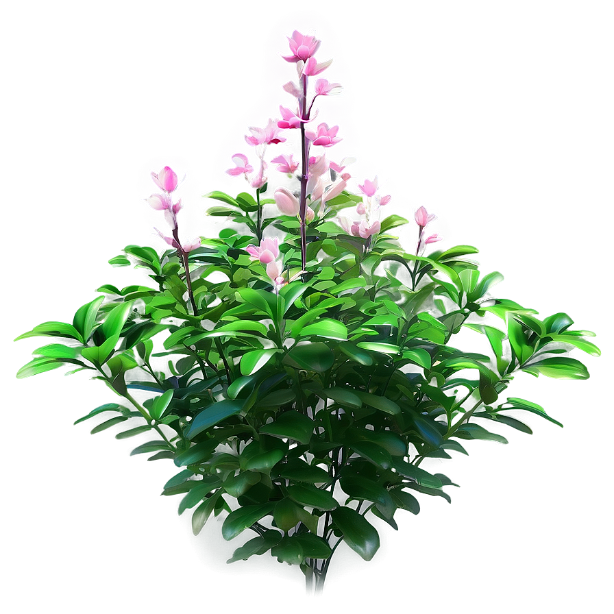 Summer Bloom Bush Png Vev77 PNG