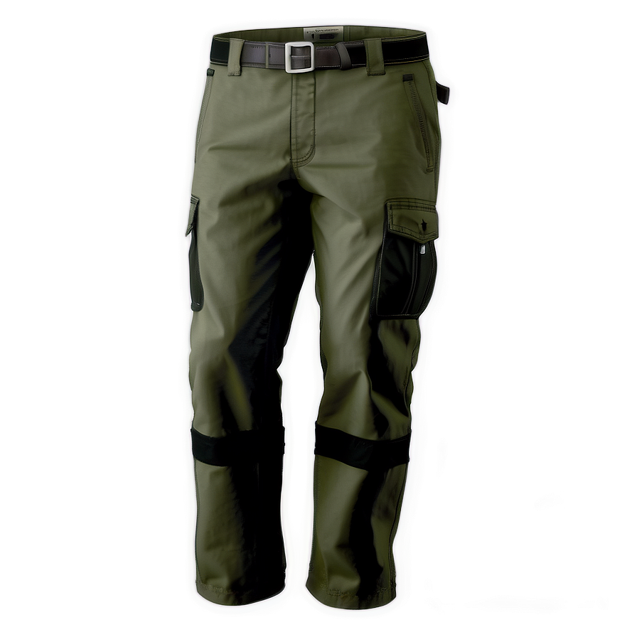 Summer Cargo Pants Png 06132024 PNG