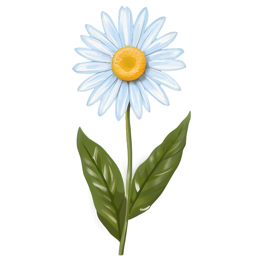 Summer Daisy Print Png Hhj PNG