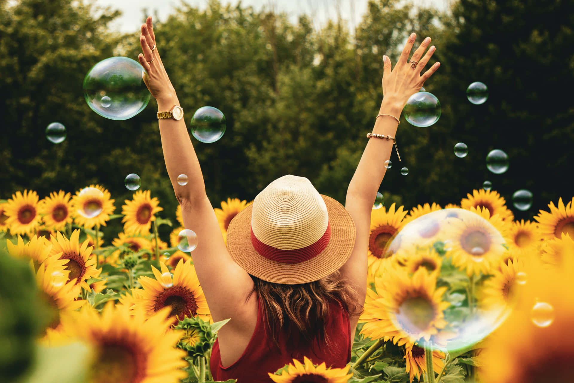 Summer Fun At A Sunflower Field Wallpaper