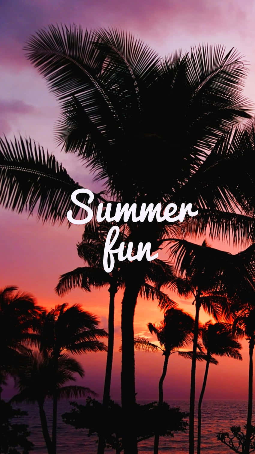 Summer Fun Tropical Mobile Wallpaper Wallpaper