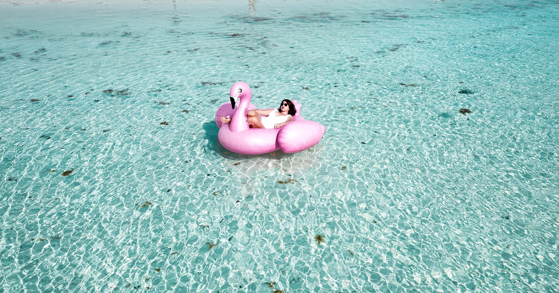 Summer Fun Woman In Flamingo Floatie Wallpaper