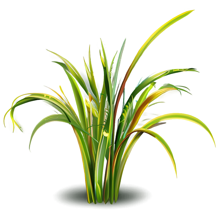 Summer Grass Clipart Png Ecr PNG