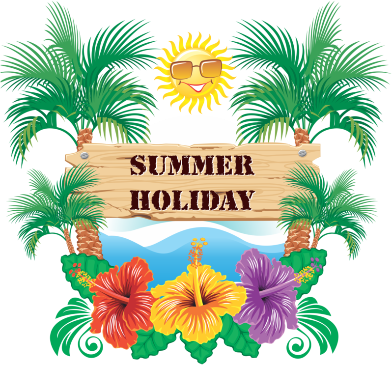 Summer Holiday Tropical Theme PNG